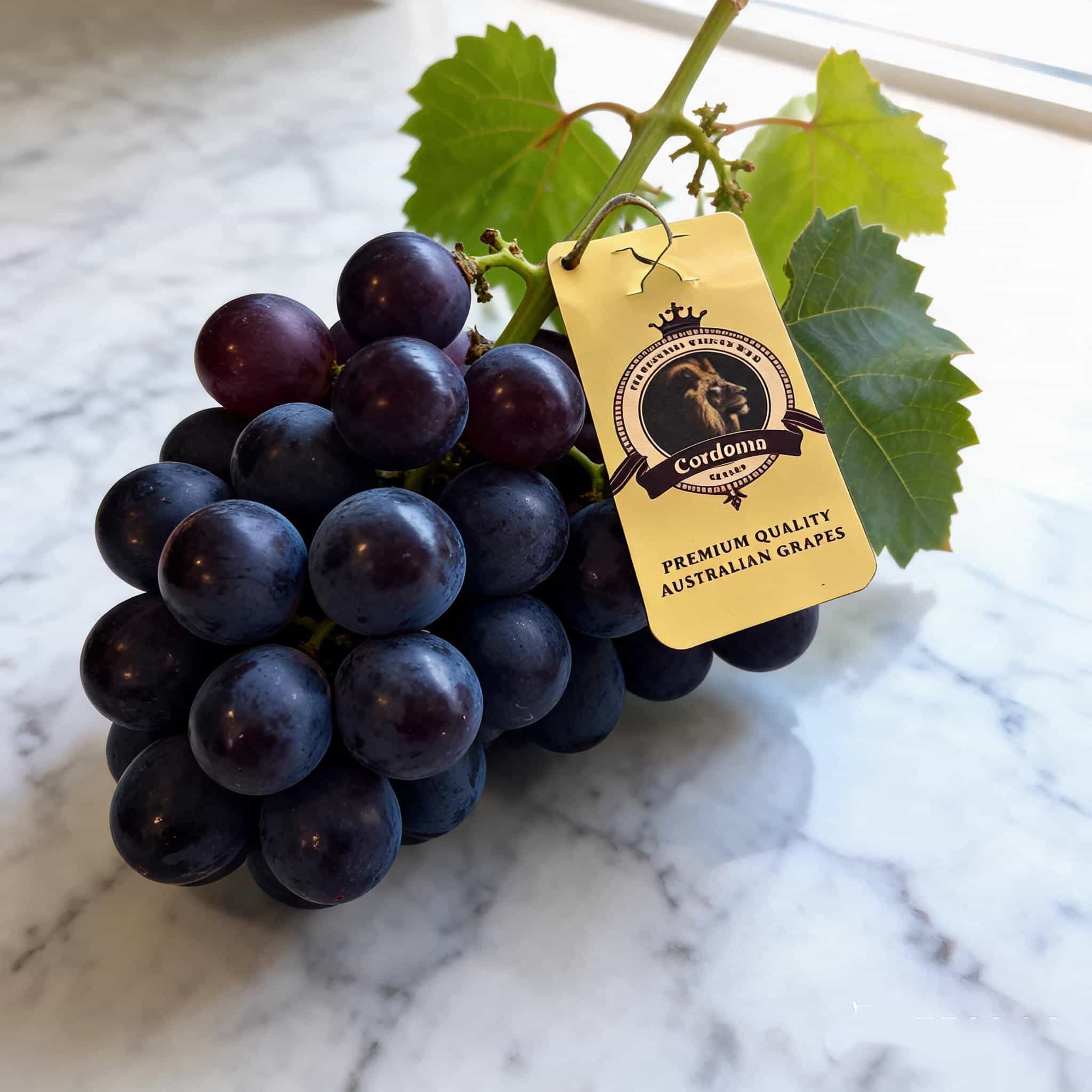 Sturdy Cardboard Hang Tags For Secure Fruit Retail Packaging
