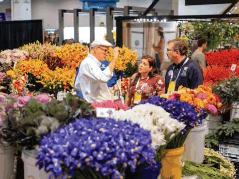 Join PACKTAKI at Booth 3921: Discover Eco-Friendly Fresh Produce Packaging at The Global Produce & Floral Show 2026 Join PACKTAKI at Booth 3921: Discover Eco-Friendly Fresh Produce Packaging at The Global Produce & Floral Show 2026